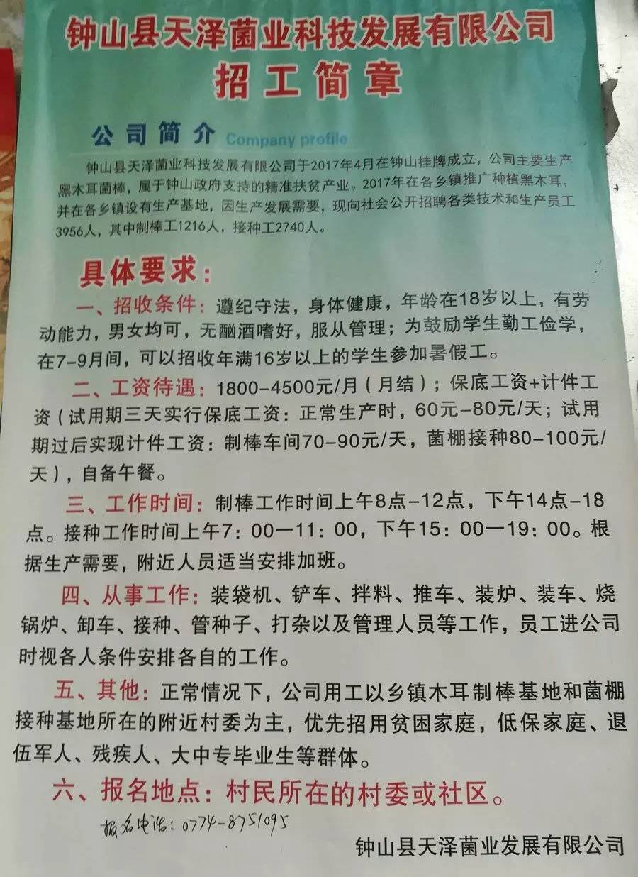 酷玉村最新招聘信息全面解析