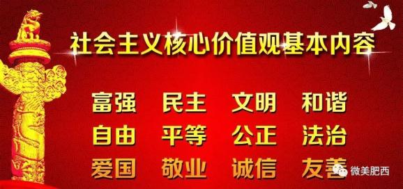 桑村最新招聘信息全面解析