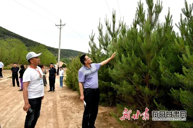 东华池林场最新动态报道