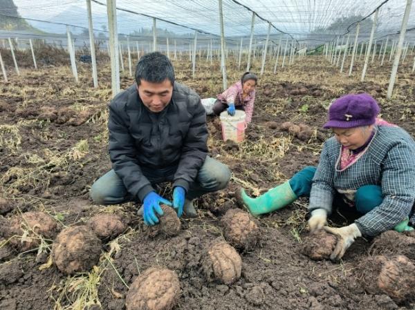 团结村最新新闻动态报道