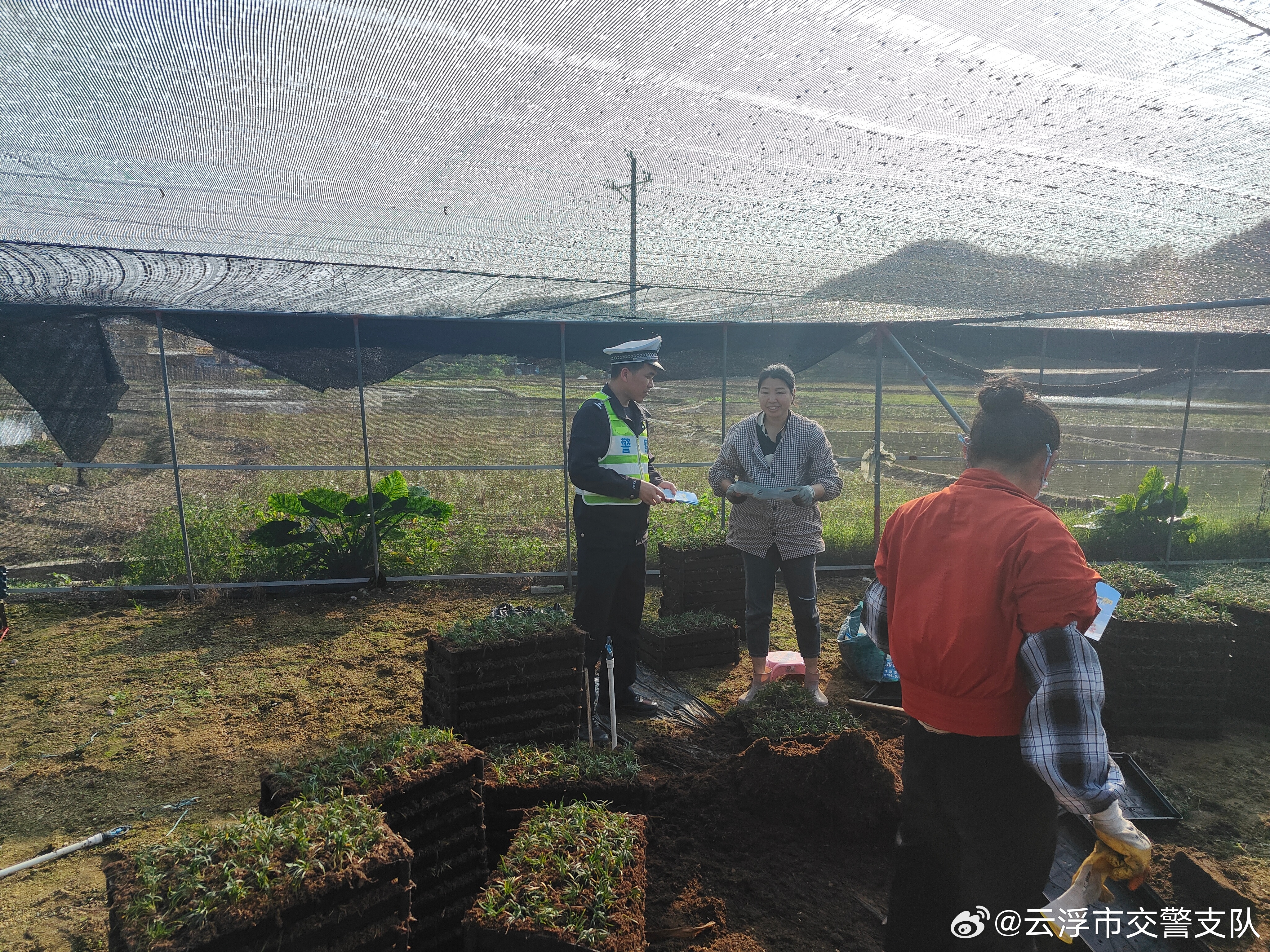 那梭农场交通新闻更新