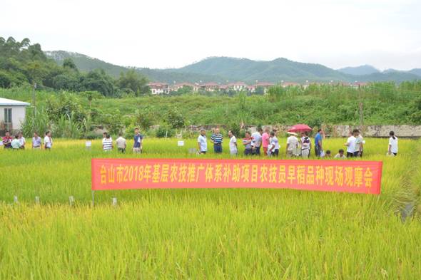 陆丰市农业农村局新项目推动农业现代化助力乡村振兴