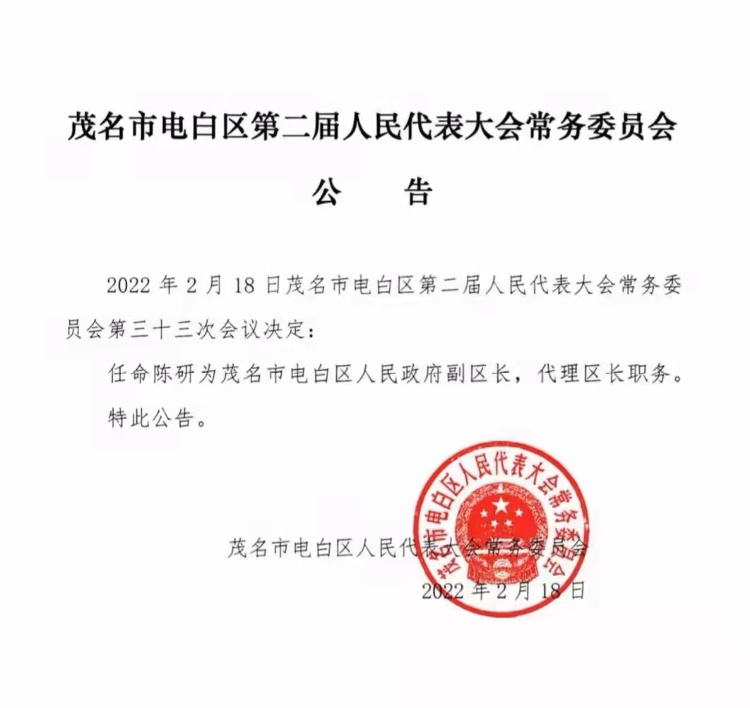 电白县统计局人事任命，开启统计事业新篇章