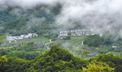 墩儿山村委会天气预报更新通知