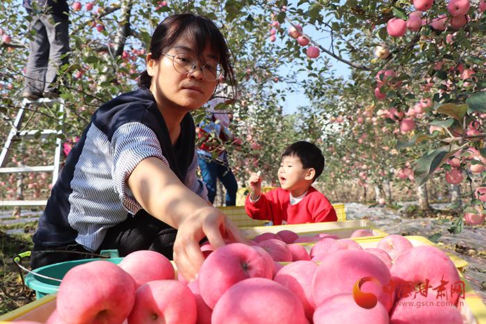 飞云乡最新交通动态报道