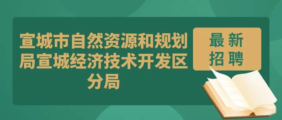 江岸区自然资源和规划局最新招聘信息全面解析