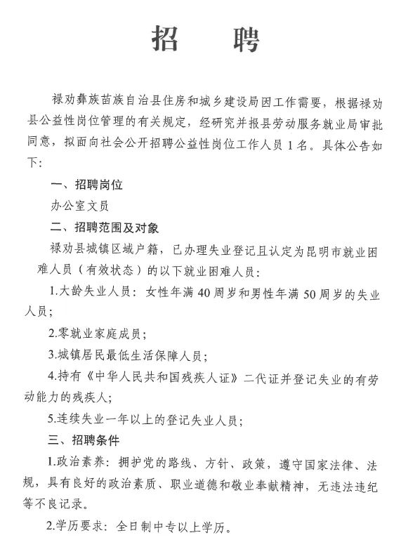 海藏村委会最新招聘信息全面解析