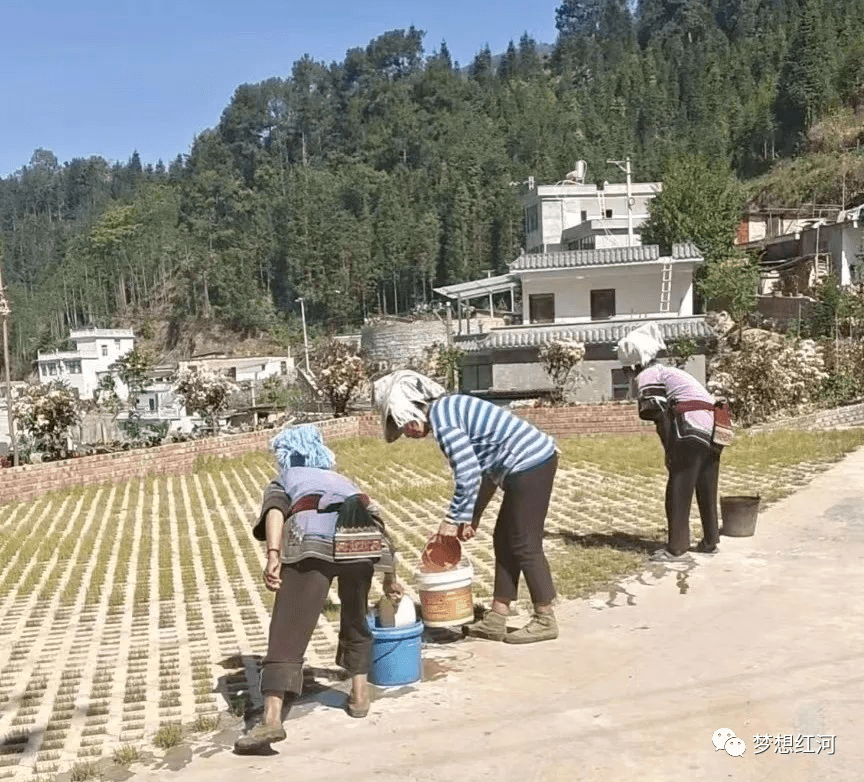 阿扎乡新项目，乡村发展的强大引擎驱动力