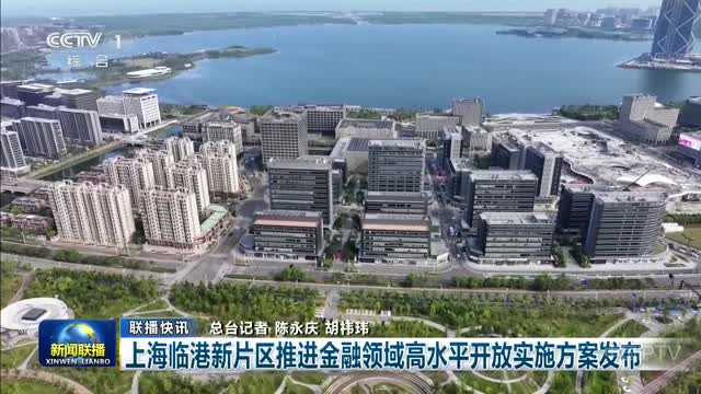 临港街道最新新闻动态报道速递