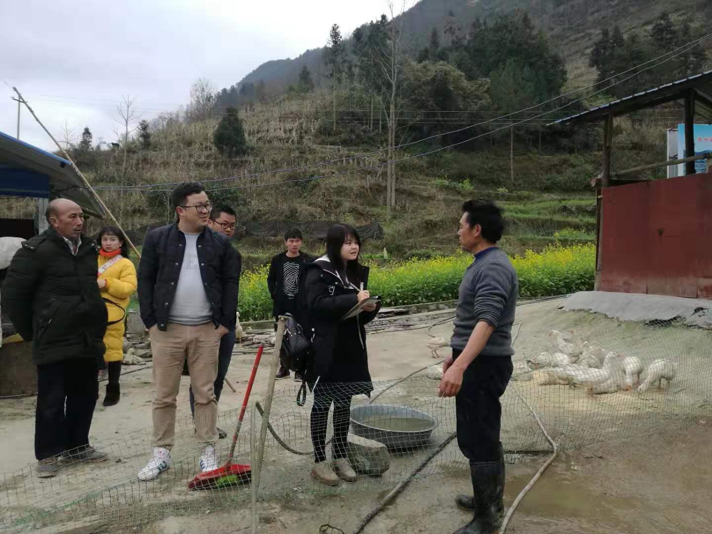 紫云街道新项目重塑城市风貌，驱动社区发展新篇章