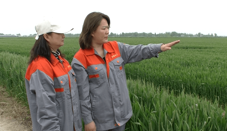 安徽阜阳柴湖良种繁殖场最新交通新闻简报