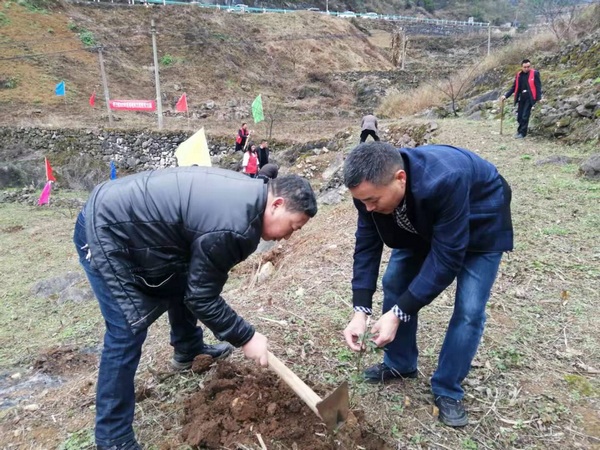 黄土坡村委会领导团队引领乡村未来，塑造新面貌