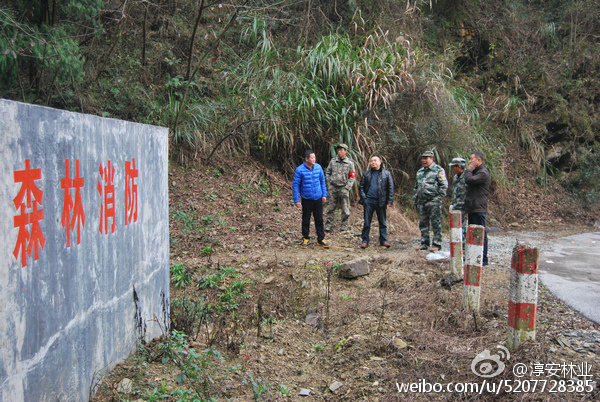 洲瑞林场交通新闻更新